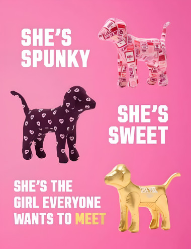 Плед і міні-іграшка VS PINK...